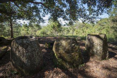 Düz kavanozlar, Laos