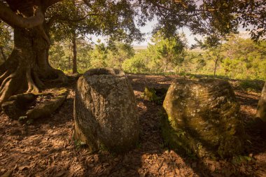 Düz kavanozlar, Laos