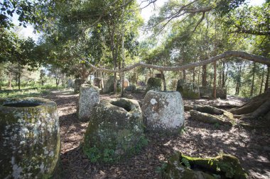 Düz kavanozlar, Laos