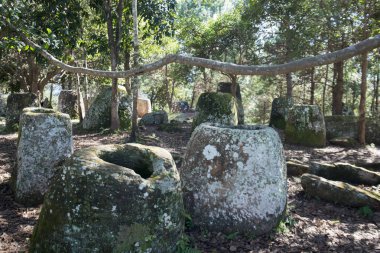 Düz kavanozlar, Laos