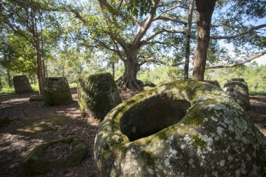 Düz kavanozlar, Laos