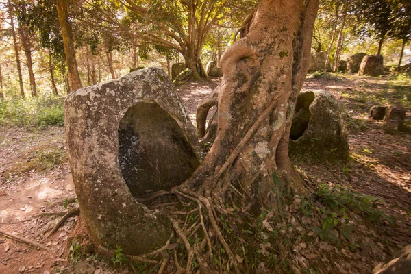 La llanura de tarros, Laos — Foto de Stock