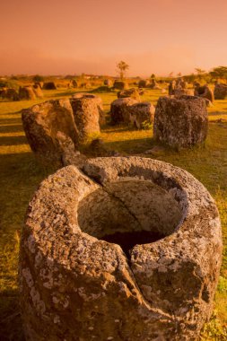 kavanoz düz bir site