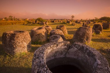 kavanoz düz bir site
