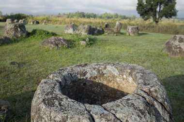 kavanoz düz bir site