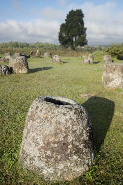 kavanoz düz bir site