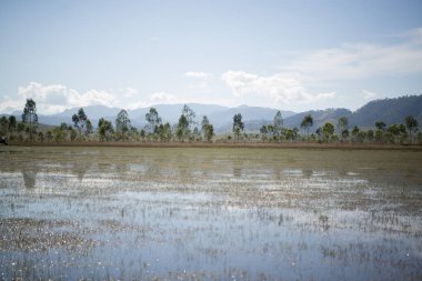 Phonsavan şehir peyzaj