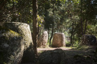 Düz kavanozlar, Laos