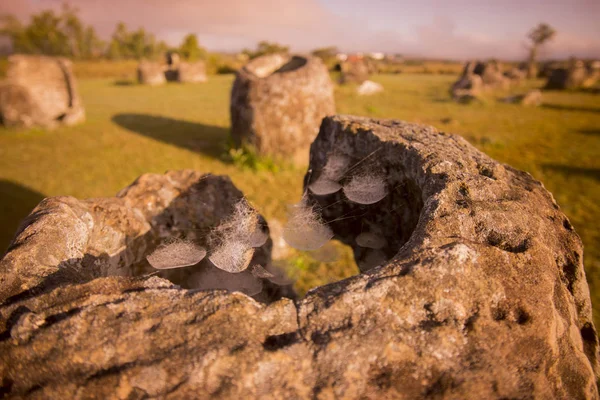 The plain of jars site one — Stock Photo, Image