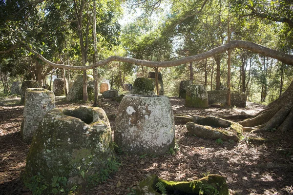 La llanura de tarros, Laos — Foto de Stock