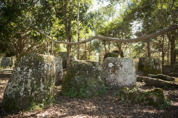 La llanura de tarros, Laos — Foto de Stock