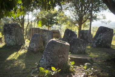 kavanoz site üç düz