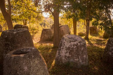 kavanoz site üç düz