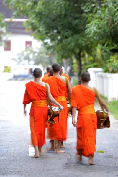 Monniken in de ochtend, Laos — Stockfoto