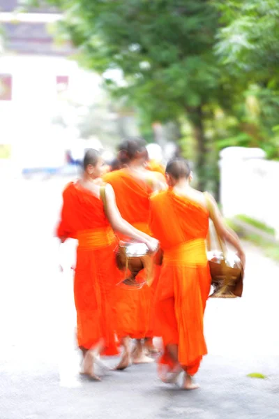 Monaci al mattino, Laos — Foto Stock