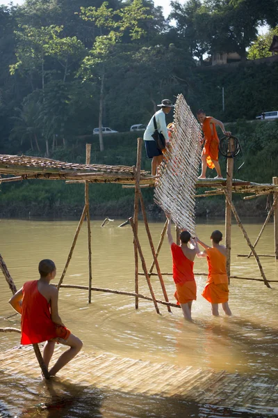 La construcción del puente de bambú sobre el río Nam Khan —  Fotos de Stock