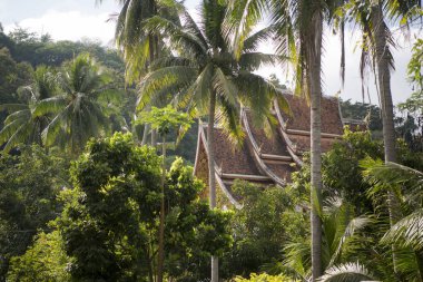 wat Ho Pha Bang Kraliyet Sarayı