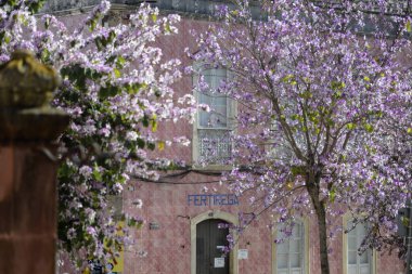 Portekiz Silves şehir eski bir evde