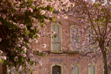 Portekiz Silves şehir eski bir evde