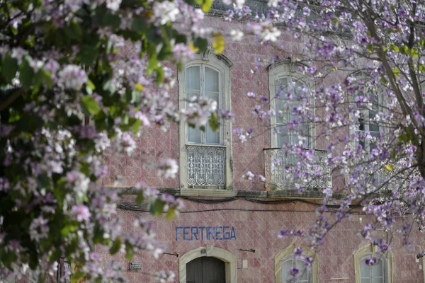 Portekiz Silves şehir eski bir evde