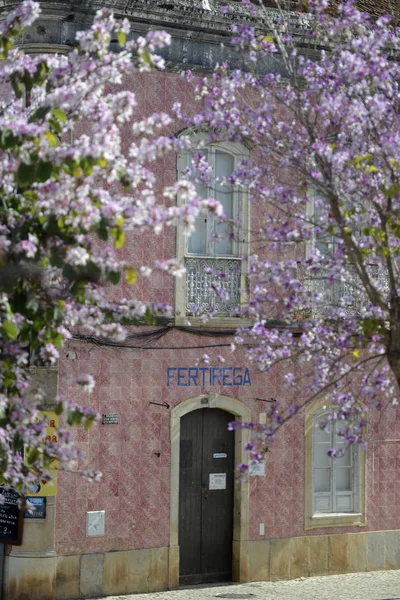 Portekiz Silves şehir eski bir evde