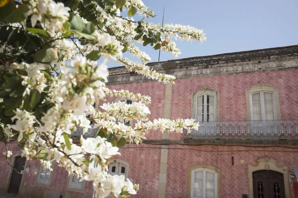 Portekiz Silves şehir eski bir evde