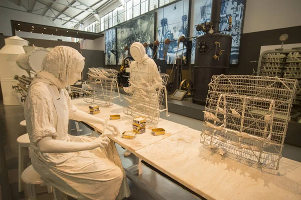 Museu de Portimao ve sardalya balık eski fabrika