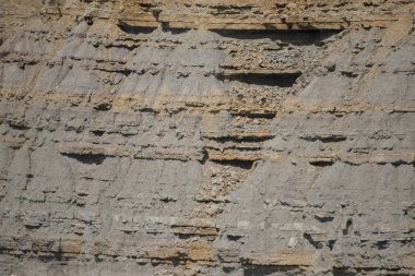 Cosat Vicentina Portekiz sahilde 