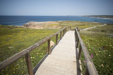 Cosat Vicentina Portekiz sahilde 