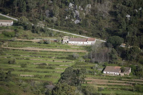 Krajina u města Monchique v Portugalsku — Stock fotografie