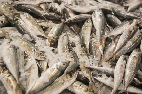 Pescado de sardinas en el mercadotodo —  Fotos de Stock