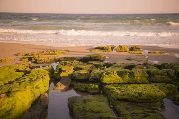 Luz Köyü Portekiz Algarve adlı kumsalda — Stok fotoğraf