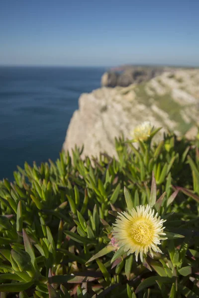 Pobřeží a krajinu na Cabo de Sao Vicente v Portugalsku — Stock fotografie