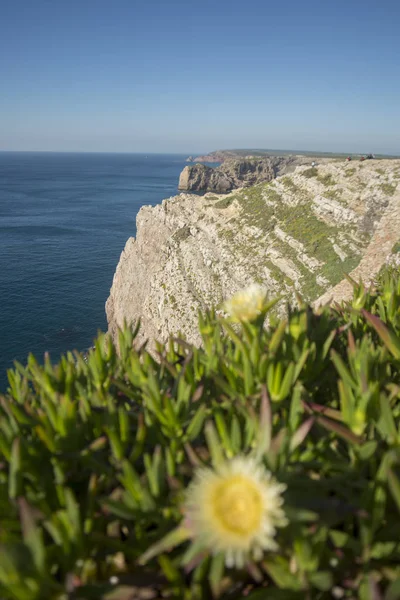 Wybrzeże i krajobraz w Cabo de Sao Vicente w Portugalii — Zdjęcie stockowe