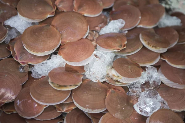 Jakobsmuscheln Auf Dem Fischmarkt Der Stadt Ang Sila Bei Bang — Stockfoto