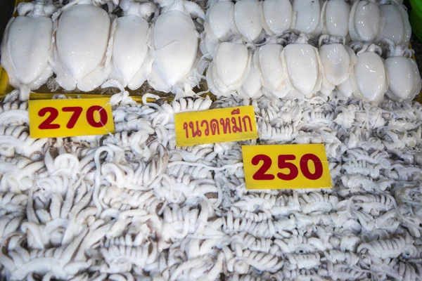 Calamares Mercado Pescado Ciudad Ang Sila Cerca Bang Saen Provincia — Foto de Stock