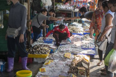 squides balık Market Ang Sila town yakınındaki Provinz Chonburi Tayland Bang Saen. Tayland, Chonburi, Kasım, 2017