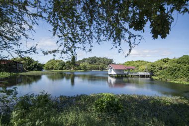 Provinz Nakhon Ratchasima Tayland Isan içinde Phimai kasaba Sai Ngam Bayan ağacında yakınındaki Gölde yüzen bir ev. Tayland, Phimai, Kasım, 2017.