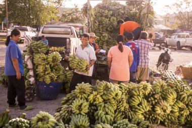 Muz Provinz Nakhon Ratchasima Tayland Isan içinde Phimai Kent Gıda pazarında satışında. Tayland, Phimai, Kasım, 2017.