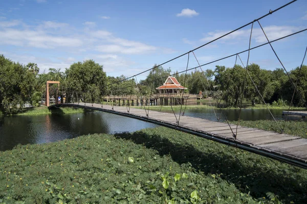 Pabellón Lago Cerca Del Árbol Sai Ngam Bayan Ciudad Phimai — Foto de Stock