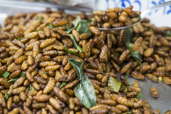 Insectos Mercado Alimentos Tradicionales Festival Phimai Ciudad Phimai Provincia Nakhon — Foto de Stock