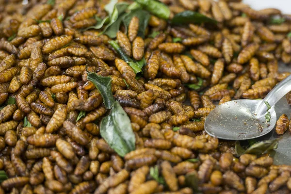 Insectos Mercado Alimentos Tradicionales Festival Phimai Ciudad Phimai Provincia Nakhon —  Fotos de Stock