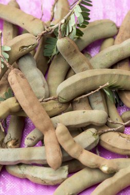 Demirhindi ağaca Buriram şehir Isan kuzeydoğu Tayland Buri Ram eyaletinin güneyinde wat khao Angkhan. Tayland, Buriram, Kasım, 2017.