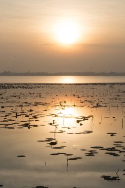 Hua Talat rezervuar Buriram şehir Isan kuzeydoğu Tayland Buri Ram eyaletinin güneyinde manzara. Tayland, Buriram, Kasım, 2017.