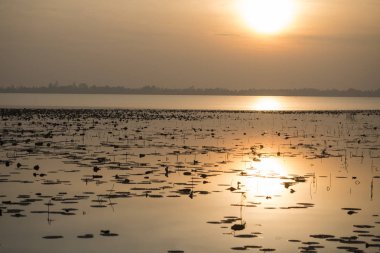 Hua Talat rezervuar Buriram şehir Isan kuzeydoğu Tayland Buri Ram eyaletinin güneyinde manzara. Tayland, Buriram, Kasım, 2017.