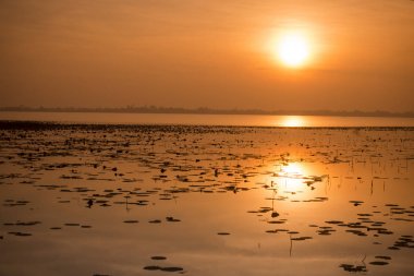 Hua Talat rezervuar Buriram şehir Isan kuzeydoğu Tayland Buri Ram eyaletinin güneyinde manzara. Tayland, Buriram, Kasım, 2017.