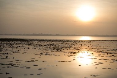 Hua Talat rezervuar Buriram şehir Isan kuzeydoğu Tayland Buri Ram eyaletinin güneyinde manzara. Tayland, Buriram, Kasım, 2017.