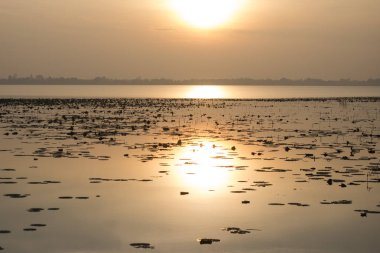 Hua Talat rezervuar Buriram şehir Isan kuzeydoğu Tayland Buri Ram eyaletinin güneyinde manzara. Tayland, Buriram, Kasım, 2017.
