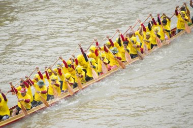 tradititional Satuek kasaba kuzeyinde şehir Buri Ram Isan kuzeydoğu Tayland'Mun Nehri Longboat yarışı. Tayland, Buriram, Kasım, 2017.
