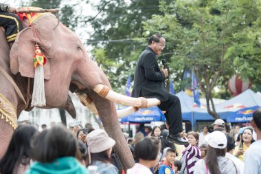 bir fil tradititional Satuek kasaba kuzeyinde şehir Buri Ram Isan kuzeydoğu Tayland'Mun Nehri Longboat yarışı, poz gouvernment insanlar. Tayland, Buriram, Kasım, 2017.